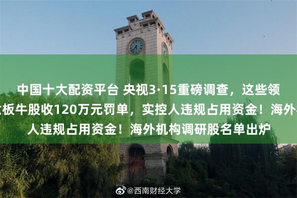中国十大配资平台 央视3·15重磅调查，这些领域黑幕重重！七天六板牛股收120万元罚单，实控人违规占用资金！海外机构调研股名单出炉