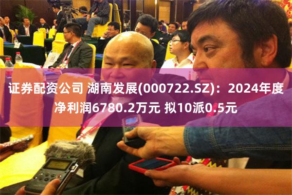 证券配资公司 湖南发展(000722.SZ)：2024年度净