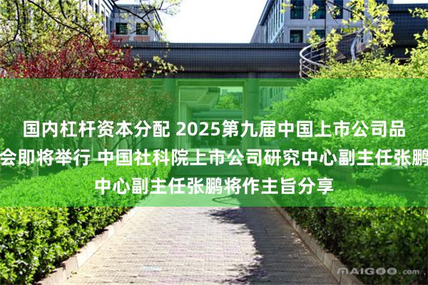 国内杠杆资本分配 2025第九届中国上市公司品牌价值榜发布会
