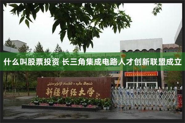 什么叫股票投资 长三角集成电路人才创新联盟成立