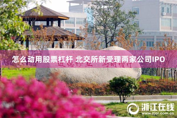 怎么动用股票杠杆 北交所新受理两家公司IPO