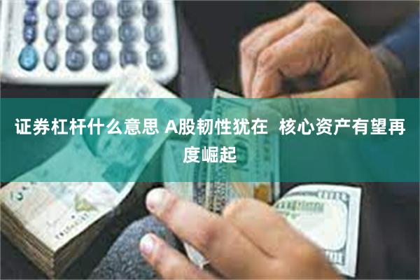 证券杠杆什么意思 A股韧性犹在  核心资产有望再度崛起