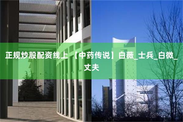 正规炒股配资线上 【中药传说】白薇_士兵_白微_丈夫