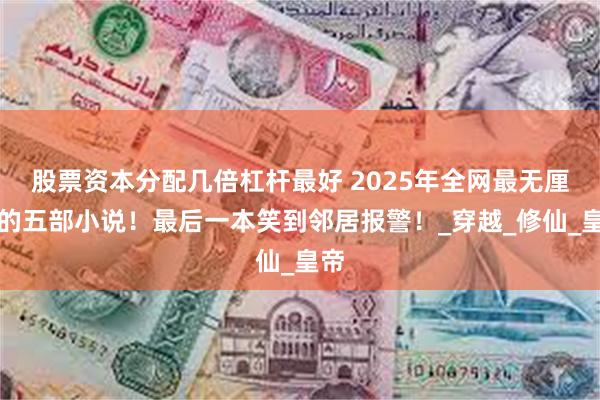 股票资本分配几倍杠杆最好 2025年全网最无厘头的五部小说！