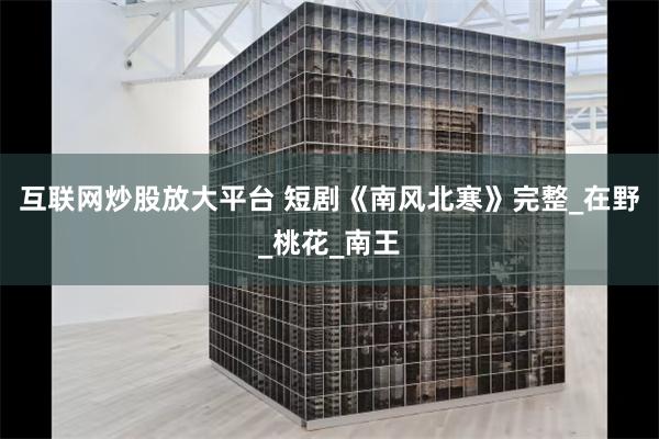 互联网炒股放大平台 短剧《南风北寒》完整_在野_桃花_南王
