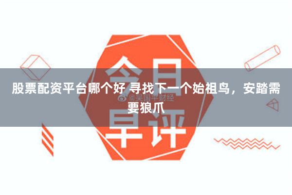 股票配资平台哪个好 寻找下一个始祖鸟，安踏需要狼爪