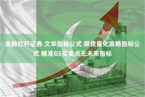 金融杠杆证券 文华指标公式 期货量化策略指标公式 精准GS买