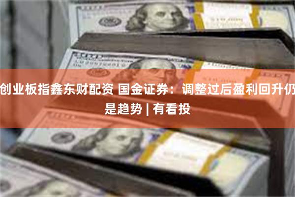 创业板指鑫东财配资 国金证券：调整过后盈利回升仍是趋势 | 