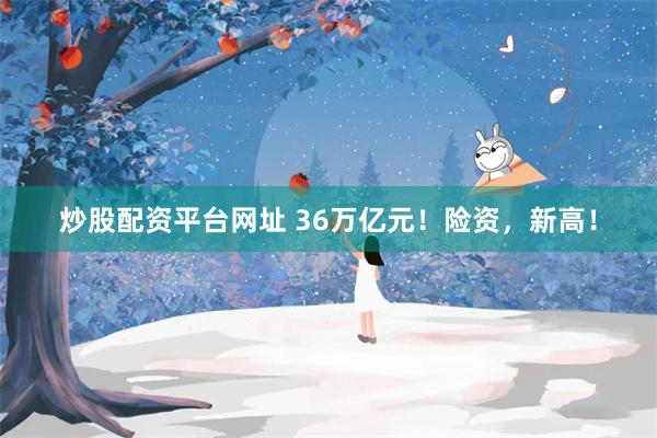 炒股配资平台网址 36万亿元！险资，新高！