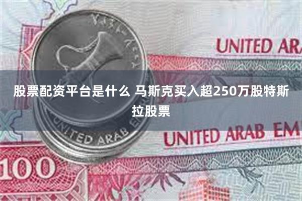 股票配资平台是什么 马斯克买入超250万股特斯拉股票