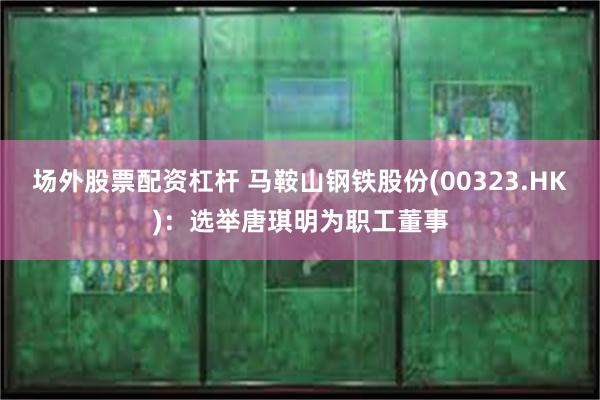场外股票配资杠杆 马鞍山钢铁股份(00323.HK)：选举唐